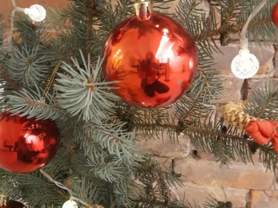 Galerijos nuotrauka 8